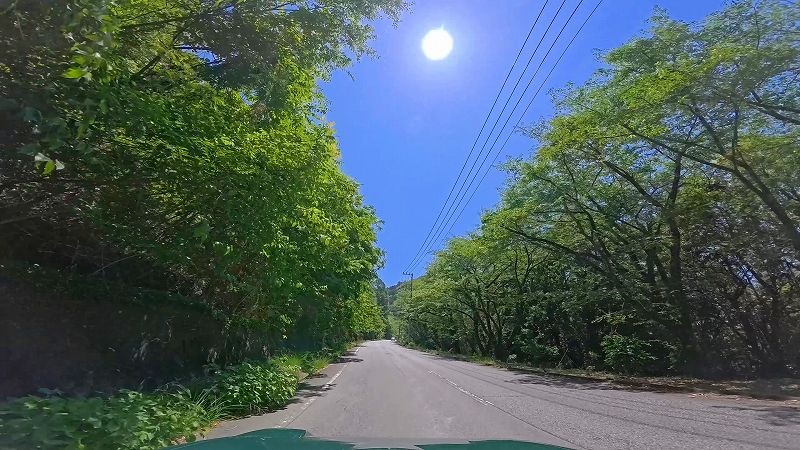 富士見パークウェイ